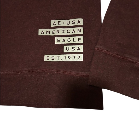 American Eagle Outfitters Pullover Hoodie Men's Medium Burgundy - Picture 3 of 6